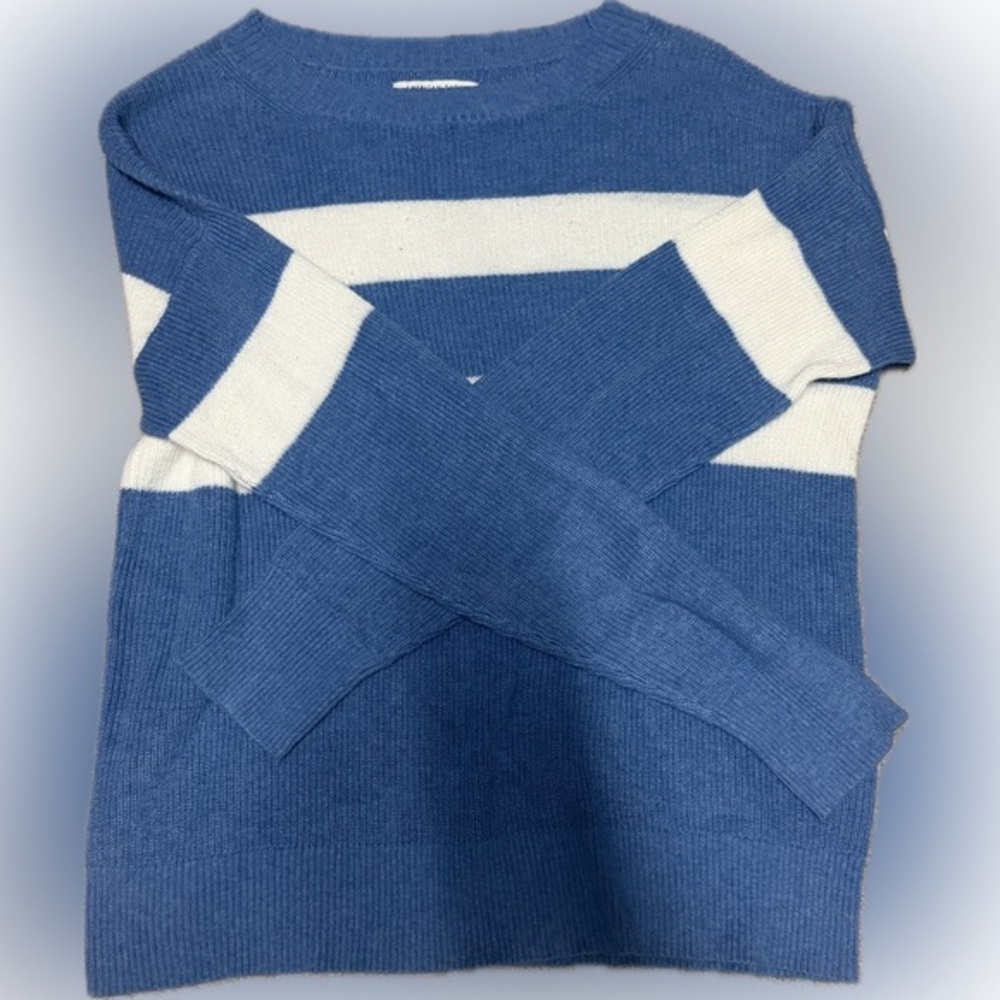 American Eagle Outfitters Blue and White Sweater